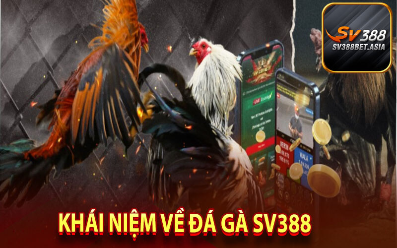 Khái niệm về Đá gà sv388