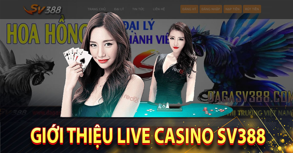 Giới thiệu Live Casino SV388 