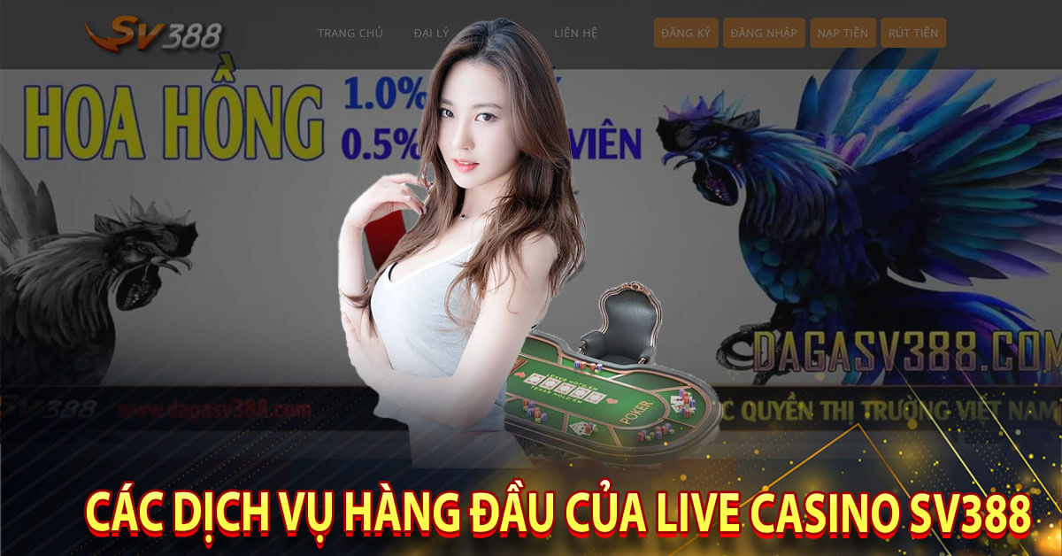 Các dịch vụ hàng đầu của Live Casino SV388